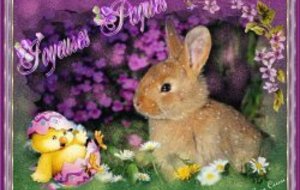 Joyeuses Pâques