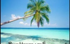 Bonnes vacances