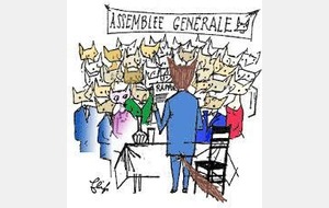 Assemblée générale