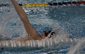 61bf9b3db139a_IMG2137.JPG