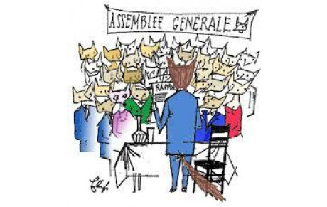 Assemblée générale